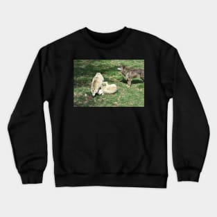 Wolves Crewneck Sweatshirt